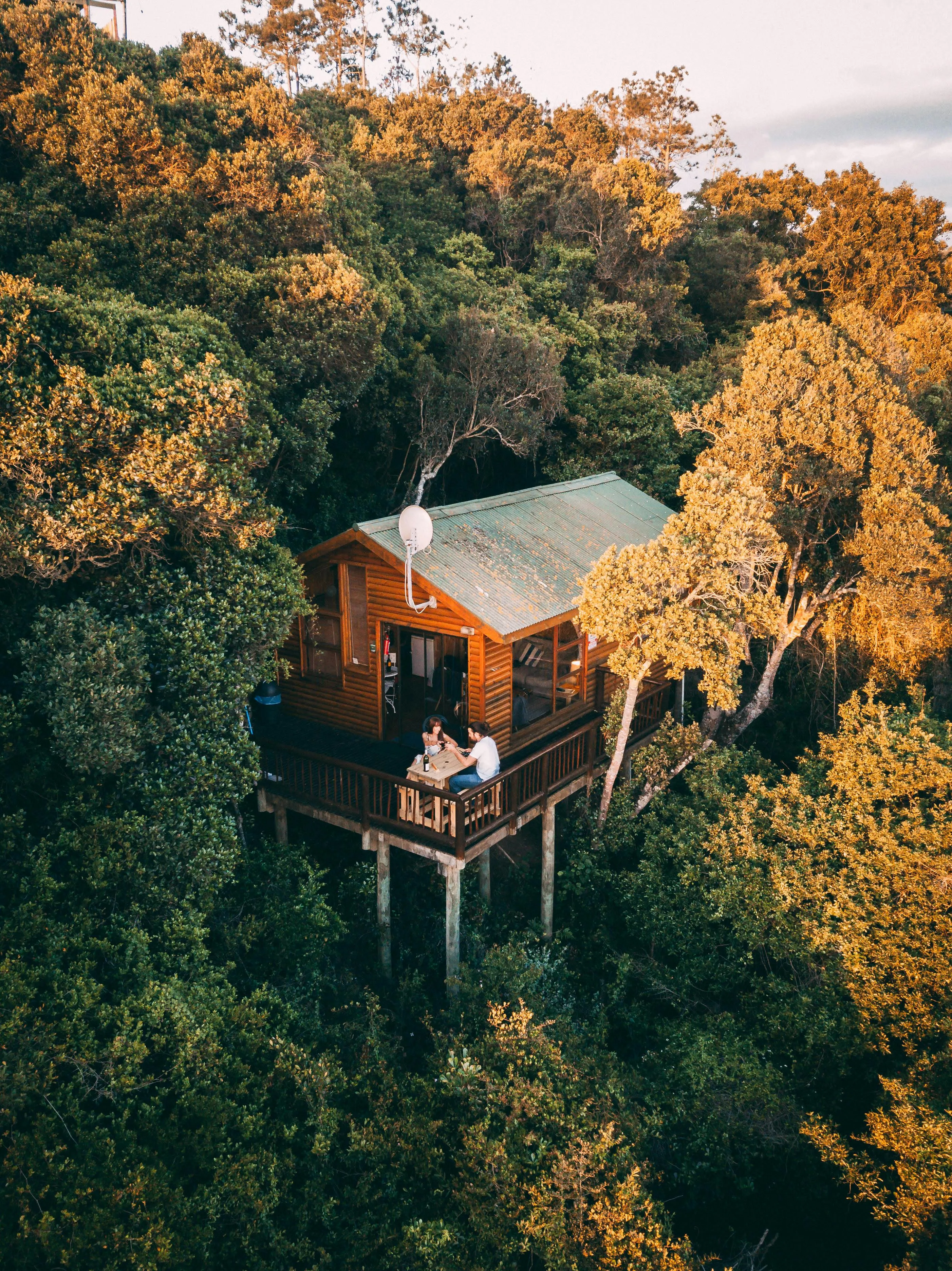 Gîte La Forêt