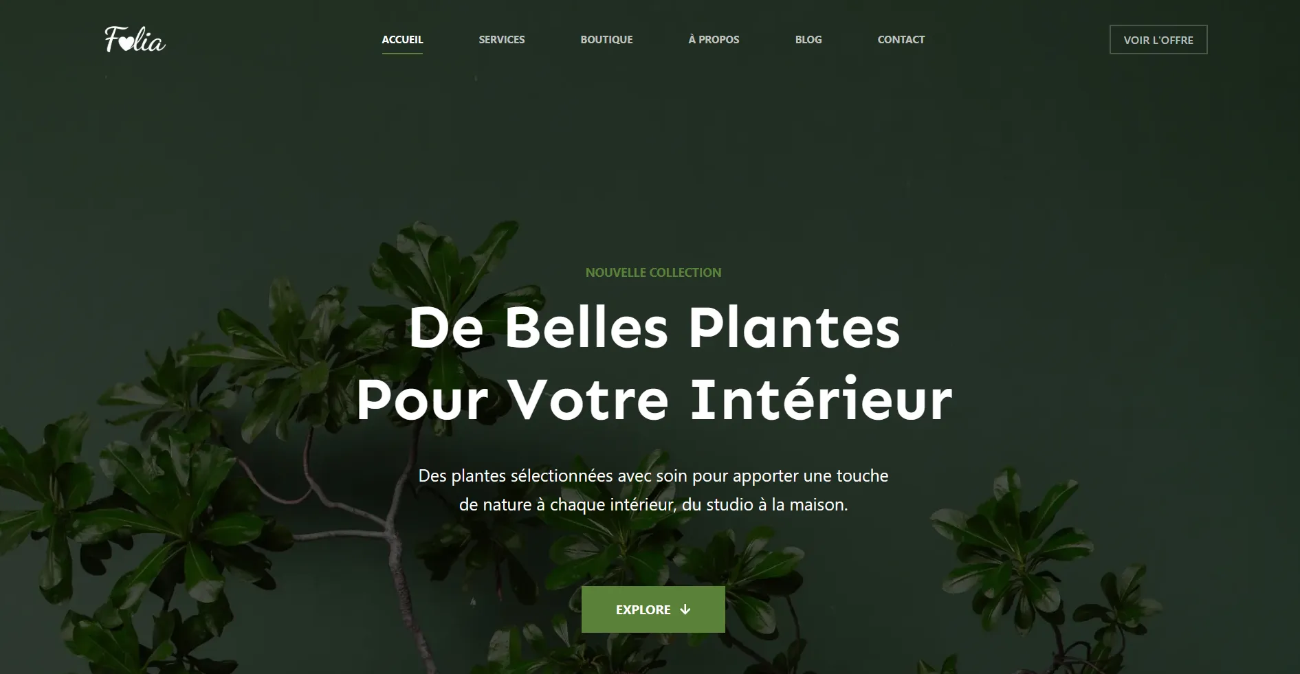 Site e-commerce plantes Folia